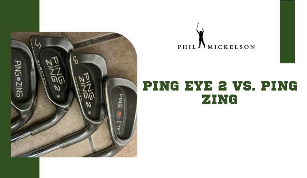 Ping Eye 2 vs. Ping Zing